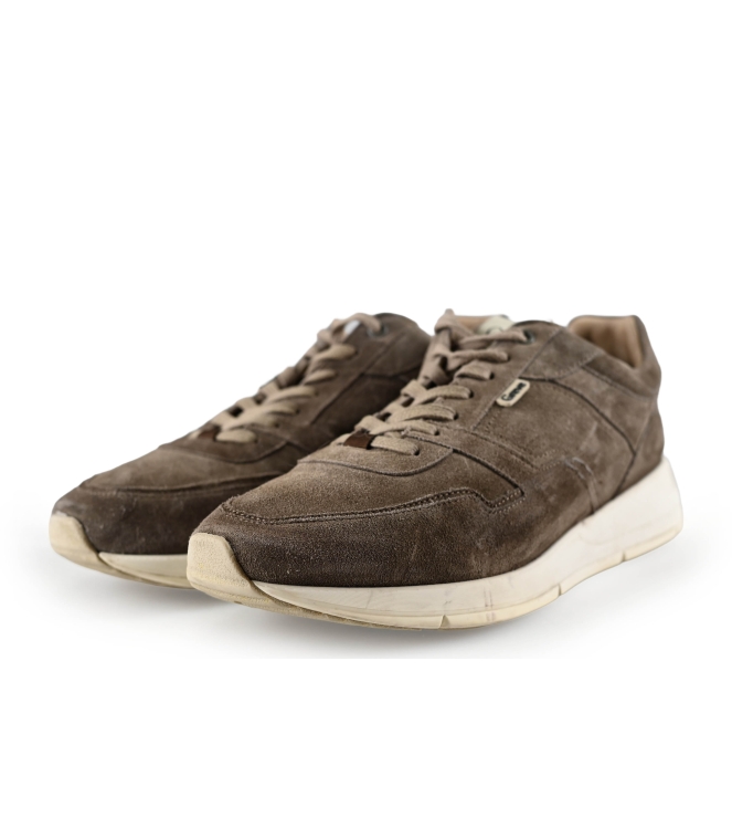 Greve Sneaker