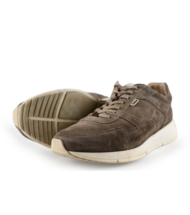 Greve Sneaker