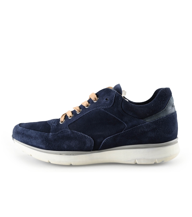 Greve Sneaker
