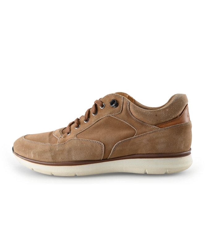 Greve Sneaker