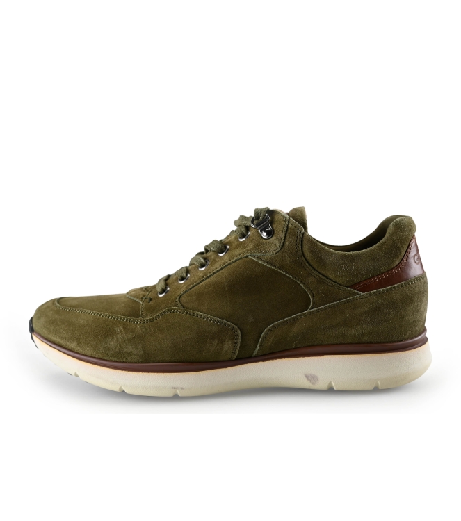 Greve Sneaker