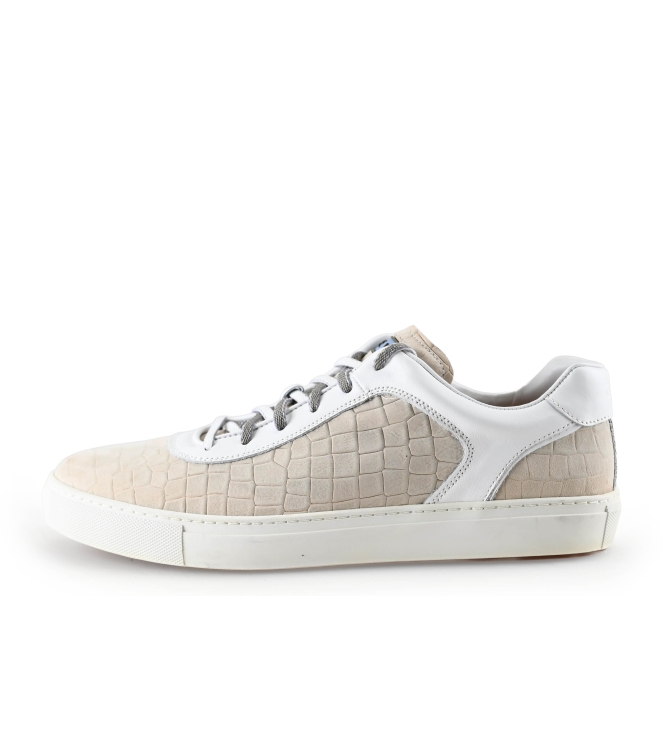 Greve Sneaker