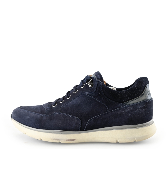 Greve Sneaker