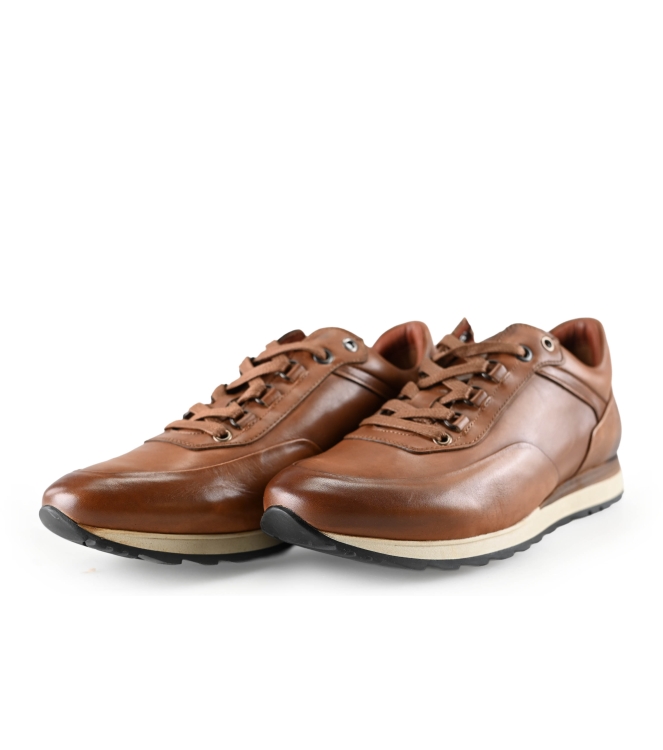Greve Sneaker