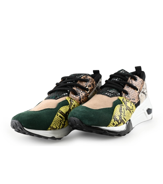 Steve Madden Sneaker