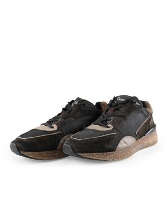 Greve Sneaker