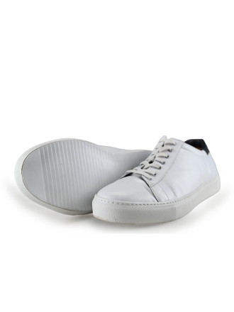 Shoes Sneaker