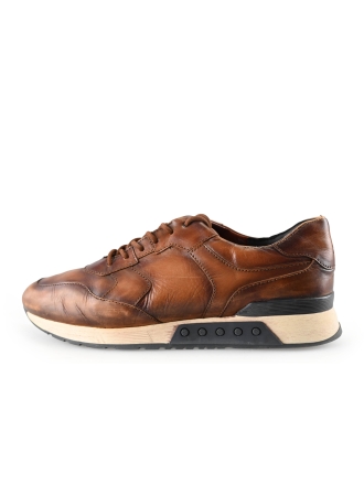 Greve Sneaker Cognac 283854
