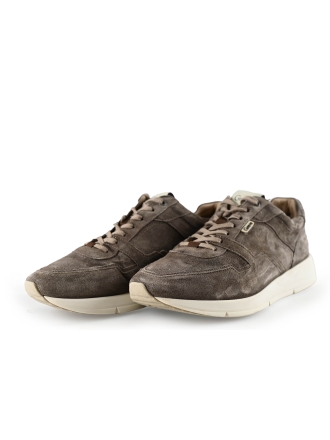 Greve Sneaker Braun 283921