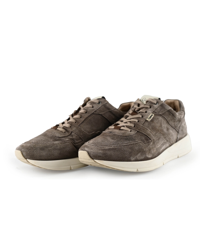 Greve Sneaker