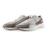 Greve Sneaker