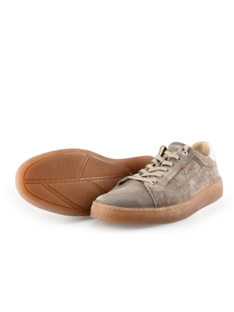 Greve Sneaker