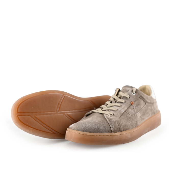 Greve Sneaker