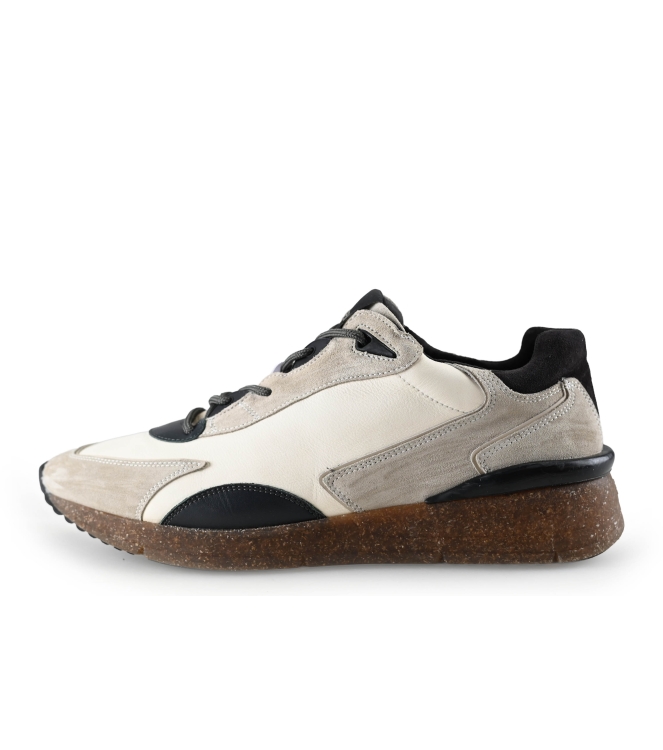 Greve Sneaker