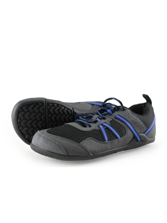 Xero Sneaker