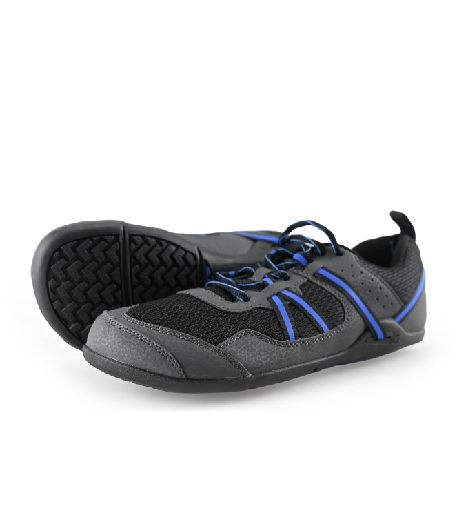 Xero Sneaker