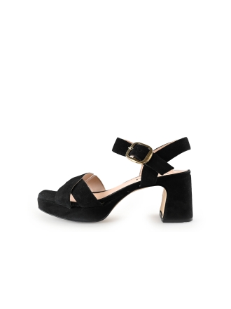 Nelson pumps