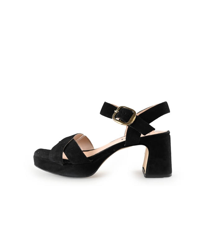 Nelson pumps