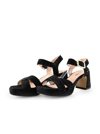Nelson pumps