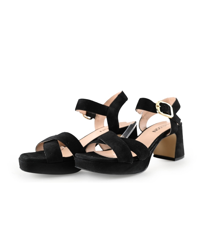 Nelson pumps