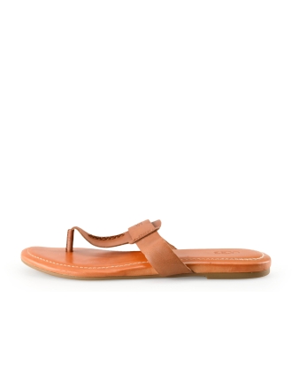Ugg Flip-Flops