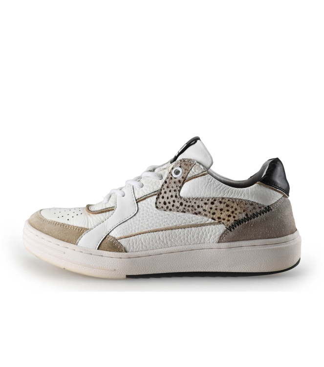 Maruti Sneaker