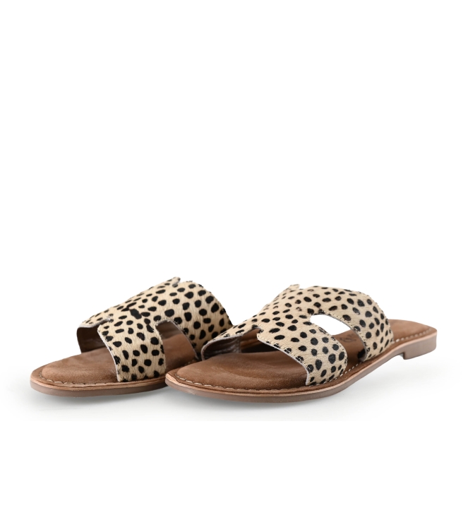 Lazamani Flip-Flops