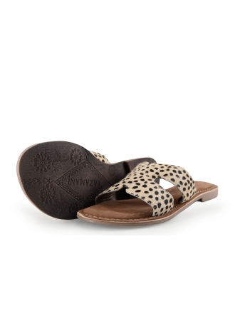 Lazamani Flip-Flops