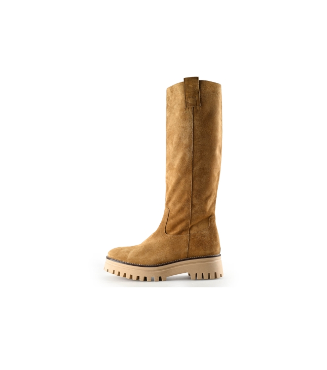 Nelson Stiefel