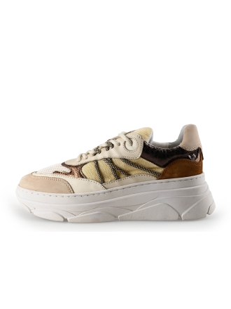Nelson Sneaker Beige 284491