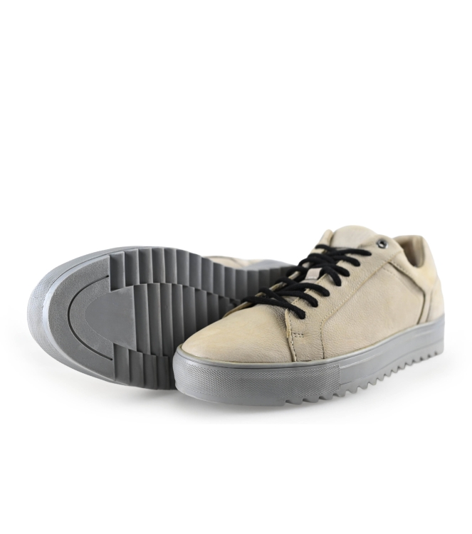 Haboob Sneaker