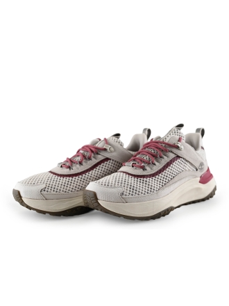 Timberland Sneaker Beige 284664