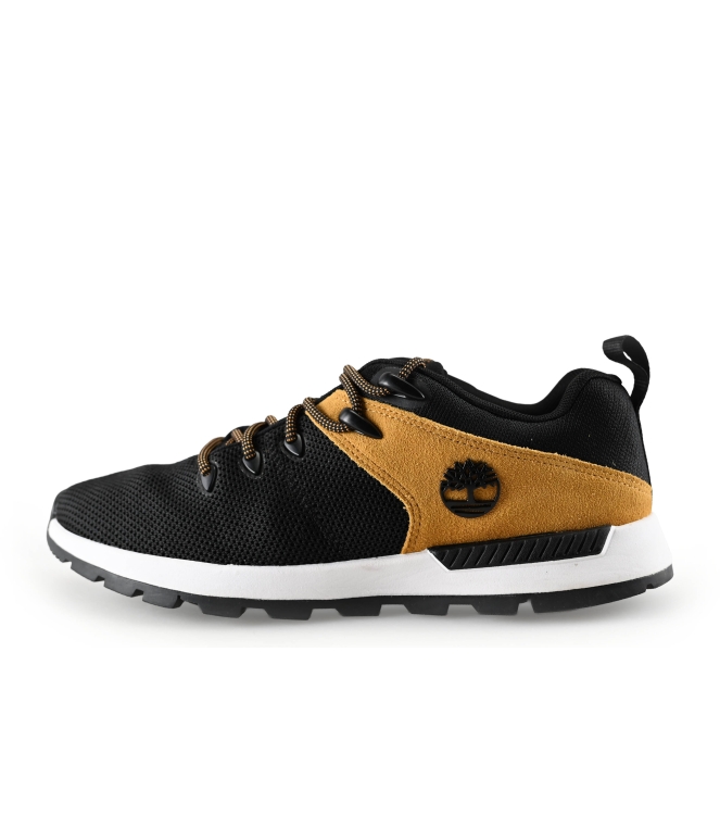 Timberland Sneaker