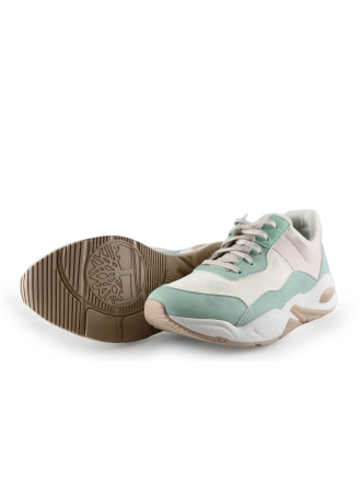 Timberland Sneaker