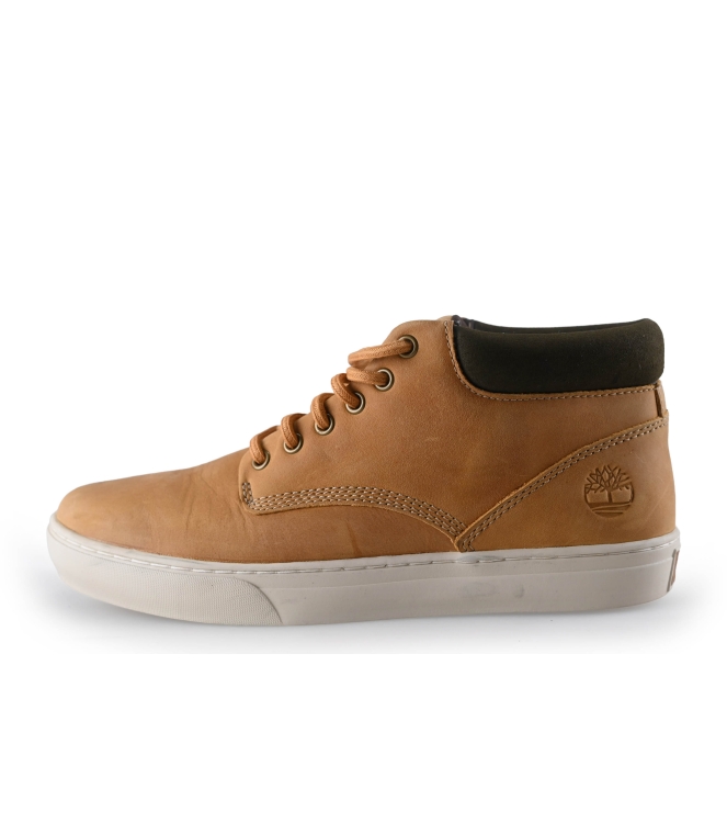 Timberland Hohe Sneaker