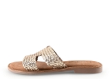 Lazamani Flip-Flops
