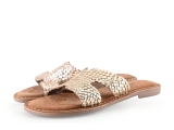 Lazamani Flip-Flops