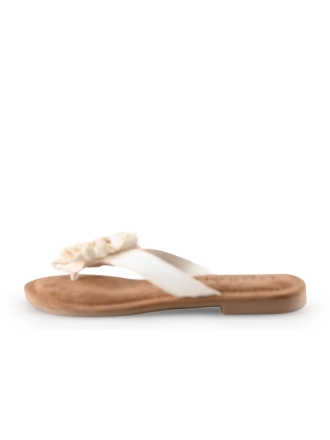 Lazamani Flip-Flops