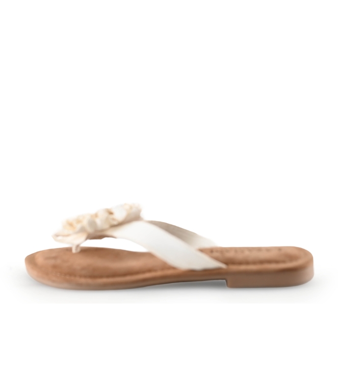 Lazamani Flip-Flops