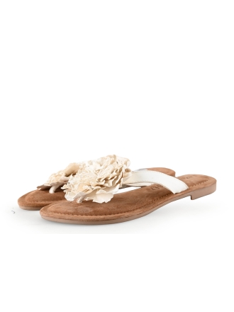 Lazamani Flip-Flops