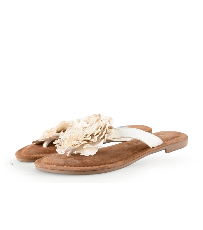 Lazamani Flip-Flops