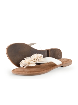Lazamani Flip-Flops