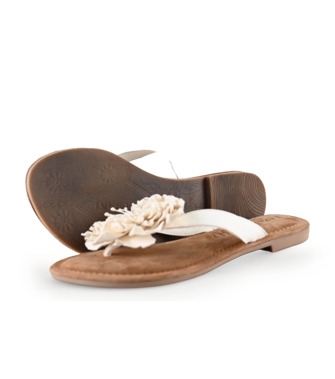 Lazamani Flip-Flops