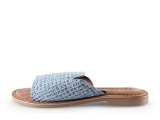 Lazamani Flip-Flops