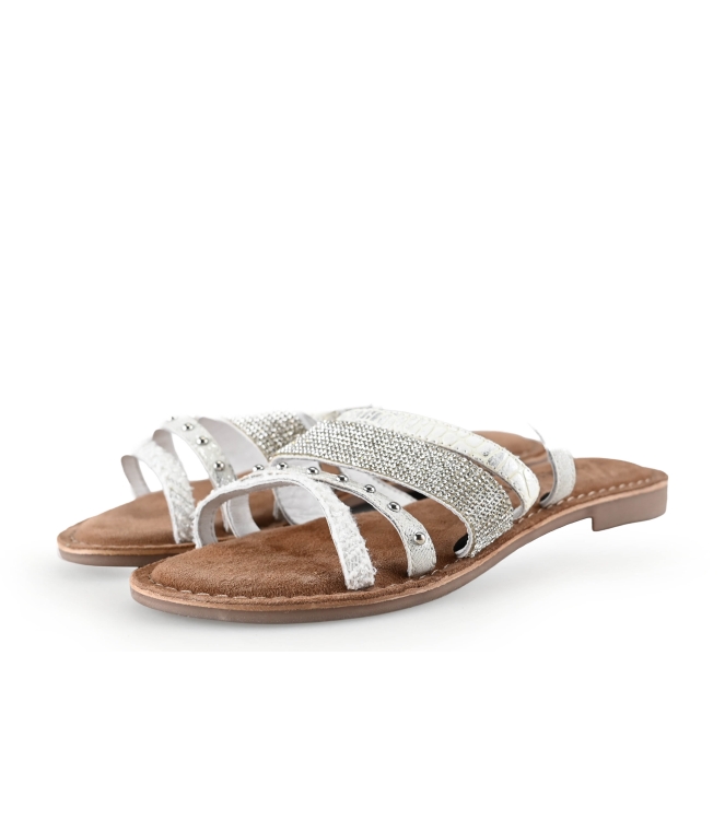 Lazamani Flip-Flops