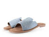 Lazamani Flip-Flops