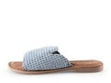 Lazamani Flip-Flops
