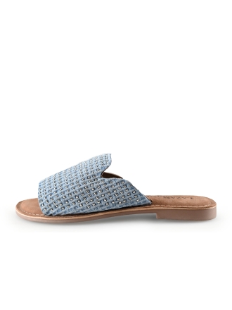 Lazamani Flip-Flops