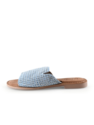 Lazamani Flip-Flops