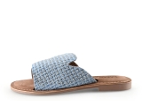 Lazamani Flip-Flops